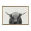 «Hey Dude Highland Cow BW» par The Creative Bunch Studio, reproduction d'art sur toile encadrée-1507395910-1580026833
