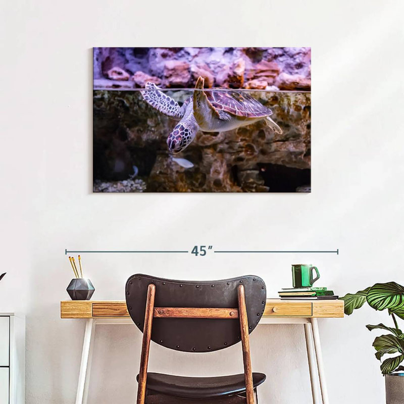 Brampt Turtle Aquarium, 24" H x 36" W
