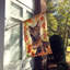 Chat en feuilles d'automne-112700484