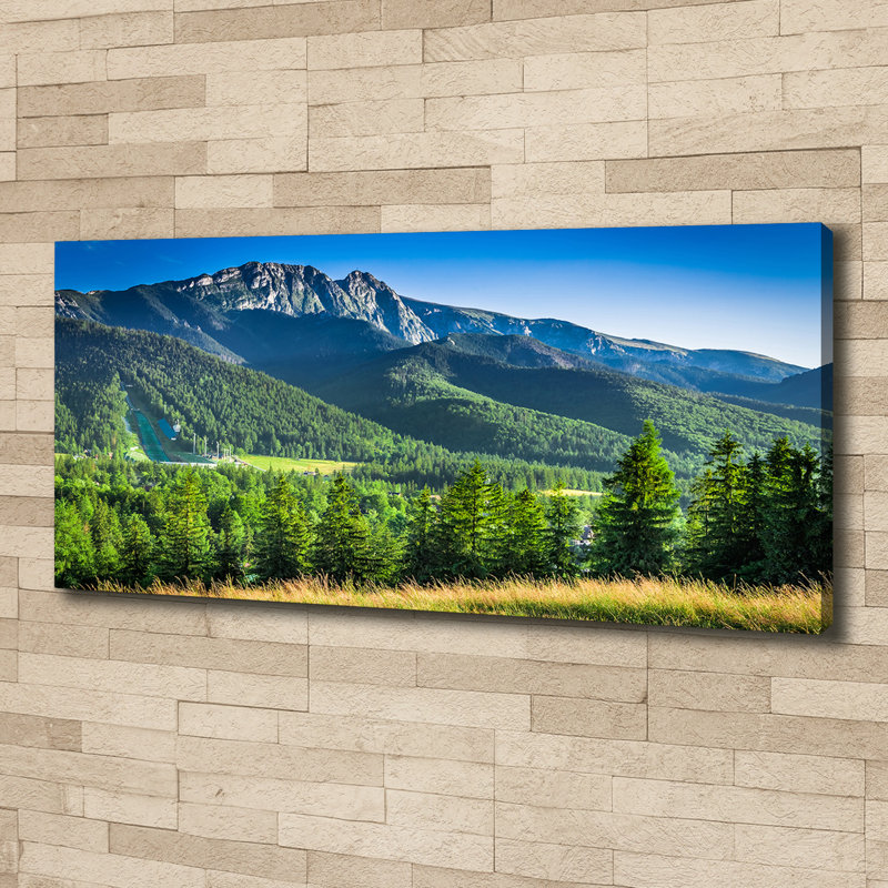 Ski Jump In The Tatras - No Frame Print on Canvas