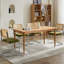 Ensemble de 2 chaises de salle à manger de style Mid-Century moderne, rembourrées de velours avec dossier en canne et base en acier inoxydable, style cantilever flexible, olive, capacité de 360 lb pouvant supporter-264755090