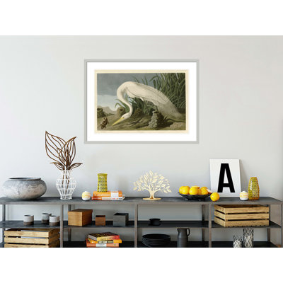 «White Heron» par John James Audubon, impression giclée sur cadre