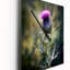 Horloge murale moderne mauve, chardon vert, chuchotement plante V-1081755881