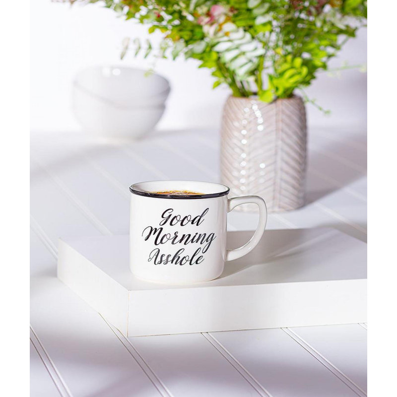 Good Morning A**Hole Text Mug