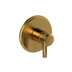 Brushed Gold
