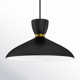 Single Light Aluminum Aluminium Dimmable Pendant