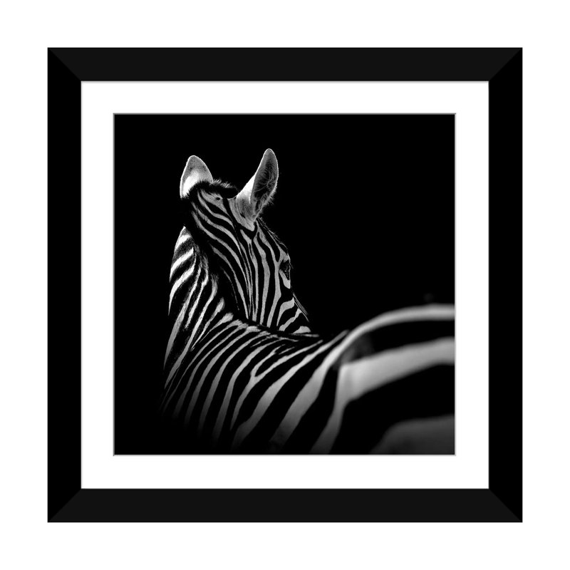 « zèbre i », reproduction de photo sur toile, H 16 po x l 16 po x P 1 po, Papier d'art encadré noir, Blanc