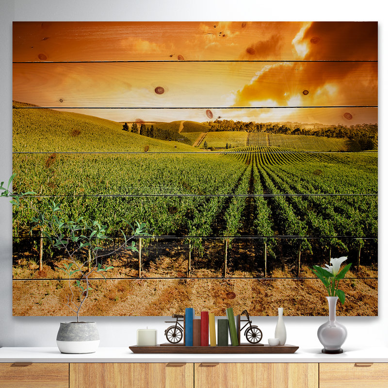 Sunset Vineyard Panorama - Photographie sans cadre sur bois, H 24 po x l 36 po x P 1 po