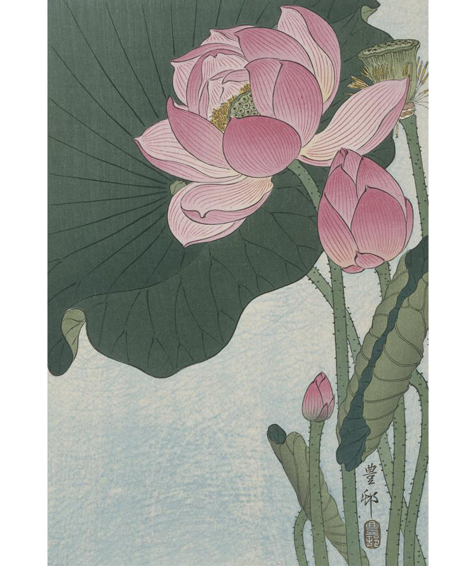 «Blooming Lotus Flowers» par Ohara Koson - Art mural sur toile tendue avec châssis, H 24 po x l 17 po