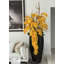 San Jose Planter In Glossy With Cascading Orchids-920385742-920385739