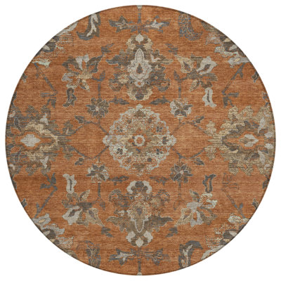 Machine Washable Indoor/Outdoor Chantille ACN2793 Global Rug