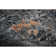 Zenith Wool Abstract Area Rug