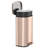 SoftStep Deodorizer Stainless Steel 13 Gallon Step on Trash Can-43147411