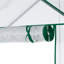 Ensemble de serre portative, 5 pi x 2,5 pi 6,5 pi, 3 tablettes, couverture, serre de jardin 6,5 pi avec jardin, avec plantes transparentes