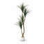 Faux olivier en pot-133254246-133254254-133254276