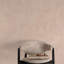 Textured Vibes Collection Authentic Plaster Wallpaper Roll-2131774372