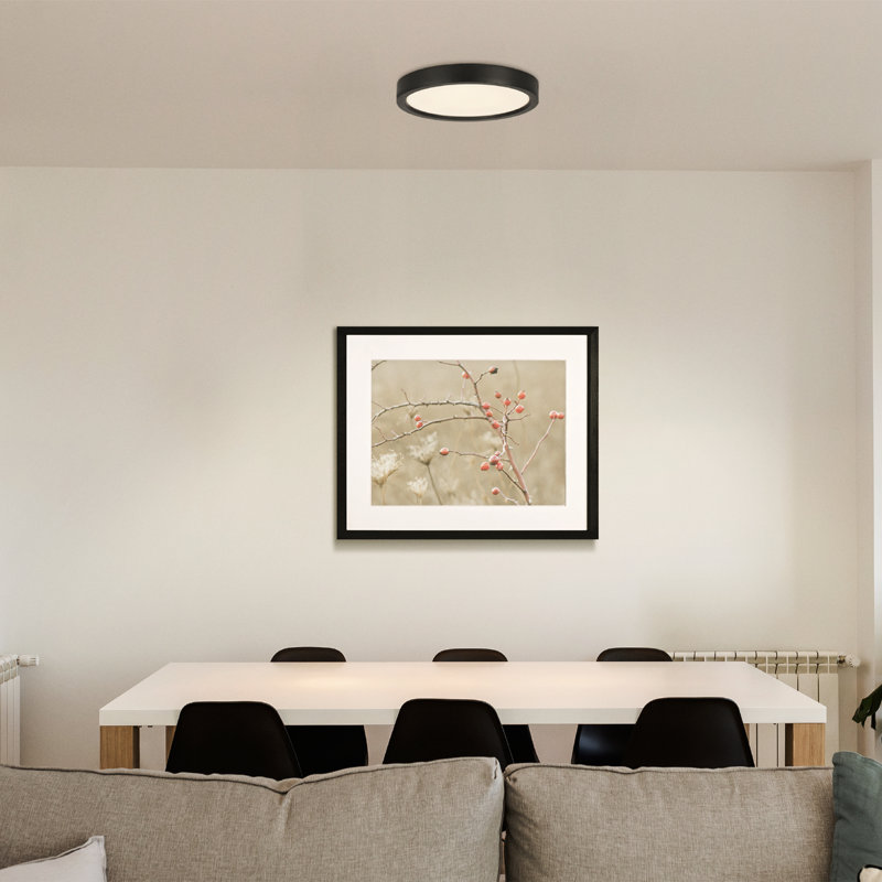 Denean LED Flush Mount, Black
