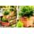 Lochlain Plastic Indoor / Outdoor Pot Planter-1506204058-1506204006