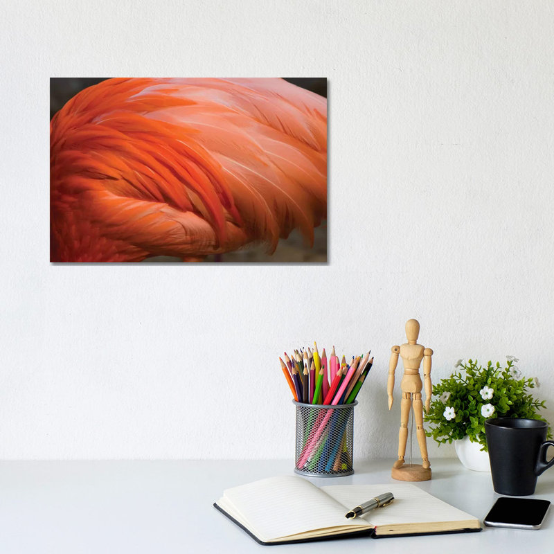 Greater Flamingo Close Up Of Feathers, San Diego Zoo, California by Tom Vezo - Wrapped Canvas Print, 20.32 cm H x 30.48 cm W