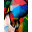 Art moderne à tête de cheval | Acrylique sur toile | Par Samir Chanda