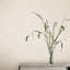Laura Ashley Annecy Paintable Wallpaper Roll-139088174