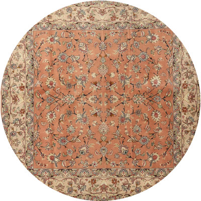 Catignani Oriental Indoor Rug