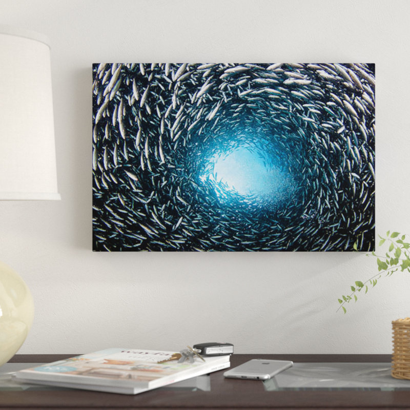 A School Of Black Striped Salema Fish, Endemic To Galapagos Islands, Ecuador by VWPics - Unframed Graphic Art on Canvas