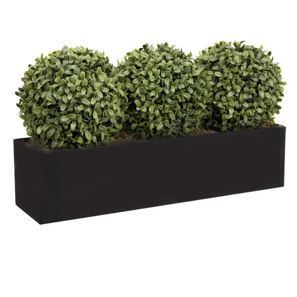 Topiary Ball (54cm) Window Box Black, Triple, Black