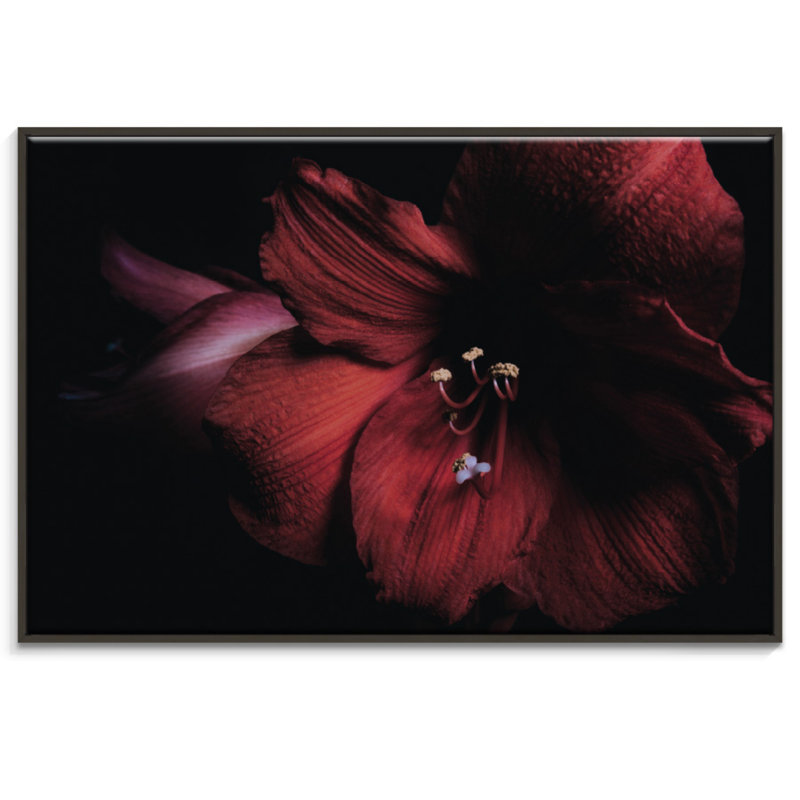 Print on Canvas, 51cm H x 76cm W, Wrapped Canvas