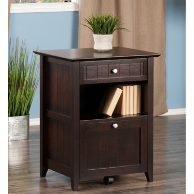 24.17'' Wide 2 -Drawer Mobile File Cabinet