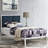 Modway Della Platform Bed-1330699877-1330699874-1330699873