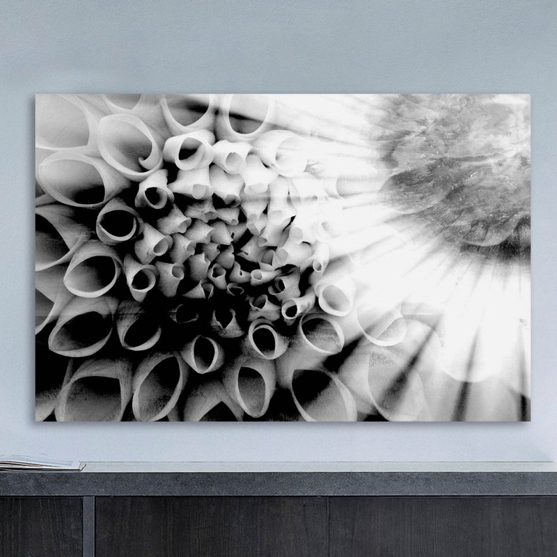 Parvez Taj - Wrapped Canvas Print, 30cm H x 45cm W