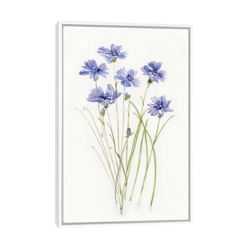 «Dicat Botanical Cornflower» par Sally Swatland - reproduction d'art, H 40 po x l 26 po x P 1,5 po, Toile blanche encadrée