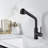 FB WERFY Pull Out Kitchen Faucet-66431221