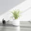Byer Handmade Ceramic Pot Planter-1810469405-1779832077