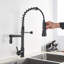 Belfry Kitchen Grifton Pull Down Kitchen Faucet