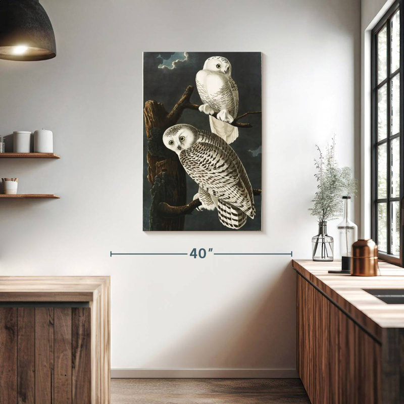 Brampt Snowy Owls, 39" H x 26" W
