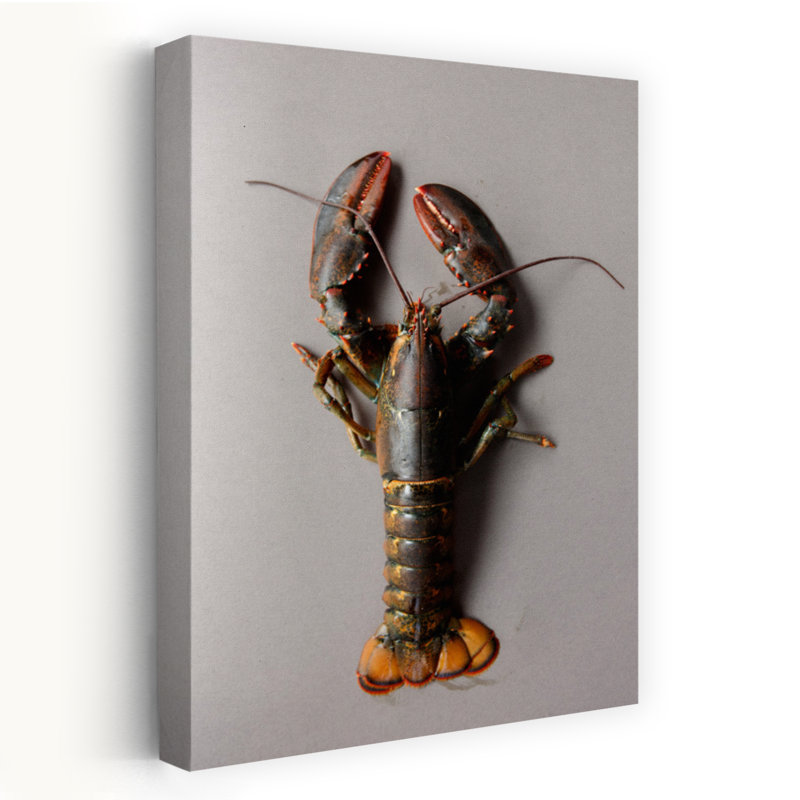 Homard brut sur fond gris, homard contemporain, océan, 18" H x 12" W