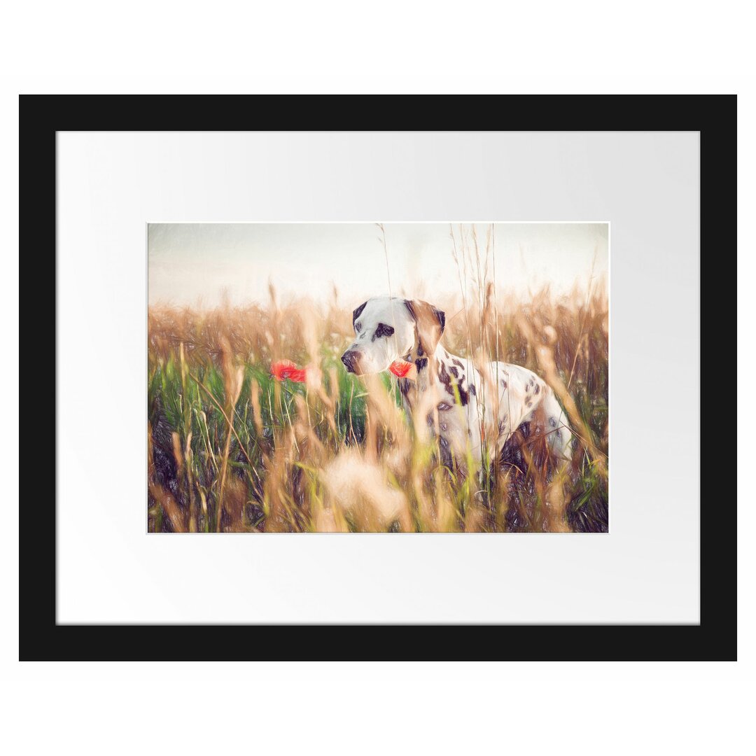 Gerahmtes Poster Neugieriger Hund im Feld