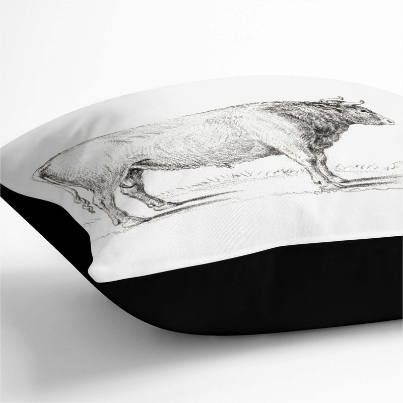 Square Throw Cushion, Black, 40cm H x 40cm W x 15cm D