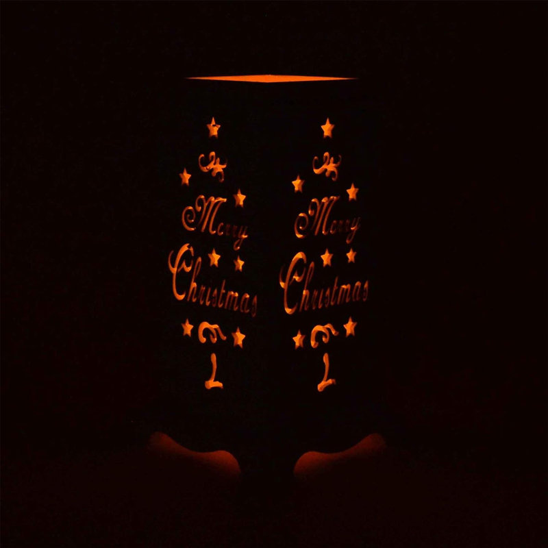 LED Indoor / Outdoor Single Christmas Light
