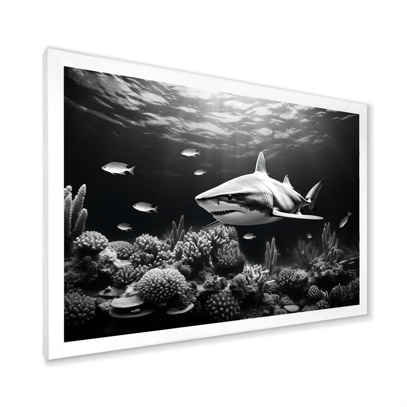 " Black And White Shark S Graceful Glide ", 16" H x 32" W x 1" D, White Single Picture Frame