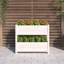 Angustias Self-Watering Wood Raised Garden Bed-596069342-596069343