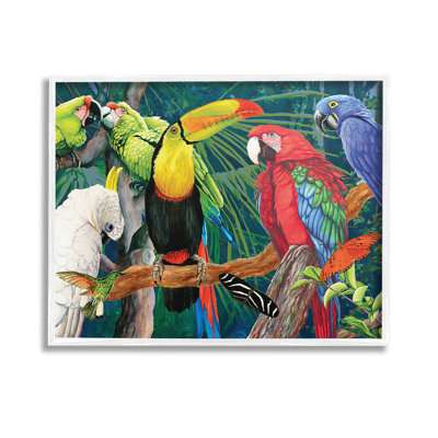 Tropical Rainforest Birds Framed Giclee Art by Christine Reichow