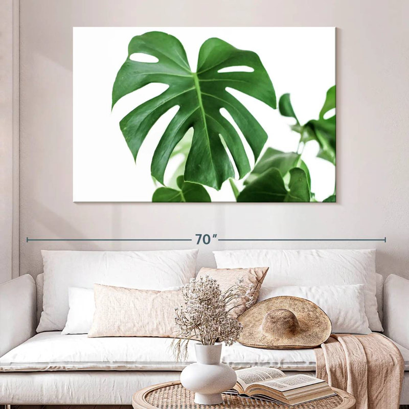 Feuille Harnek Monstera, H 34 po x l 51 po