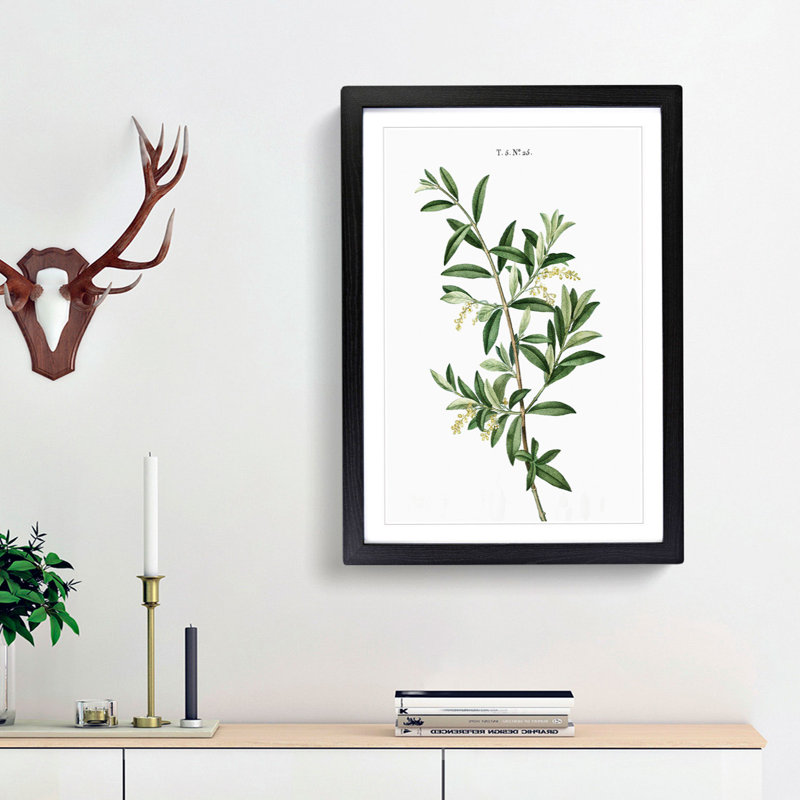 Green Olive Tree by Pierre-Joseph Redoute - Framed Print, Black Framed, 65cm H x 48cm W x 2cm D