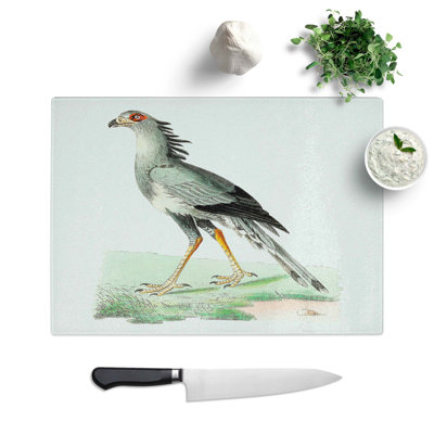 Tempered Glass African Snake-Eater Bird Chopping Board