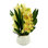 Orchid Arrangement with Rocks in a Ceramic Pot
