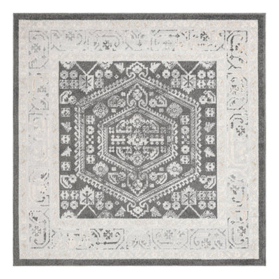 Akins Oriental Indoor Rug