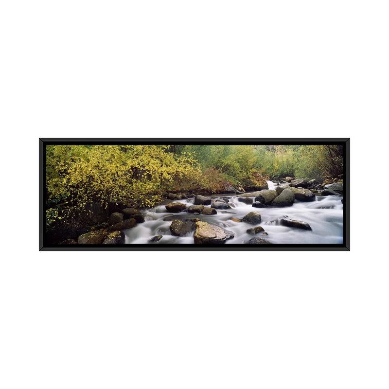Ponoramic river passant par une forêt, lustre inyo county, californie, reproduction de photo sur toile, Toile avec cadre noir